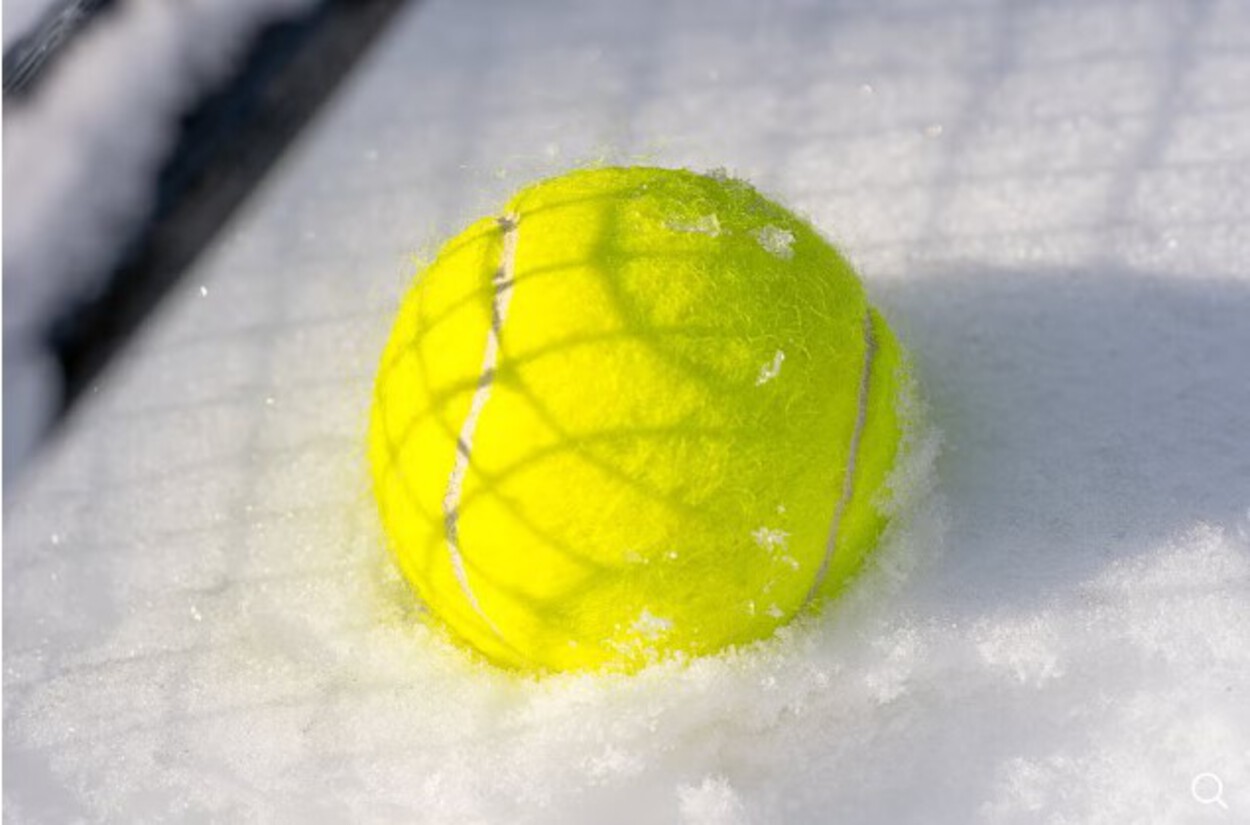 Darum solltest du im Winter einen Tennisball in den Garten legen